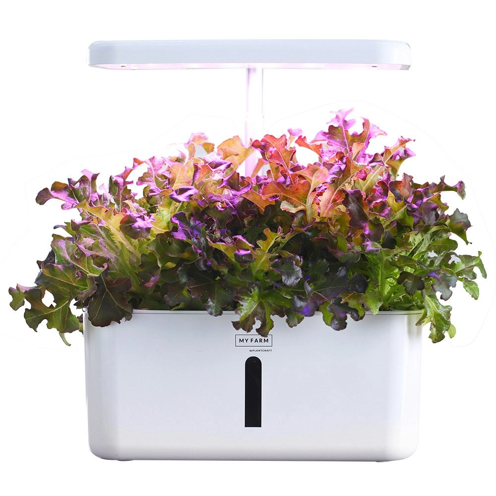 PlantCraft 8 Pod Indoor Hydroponic Growing System, with Water Level Window & Pump, White