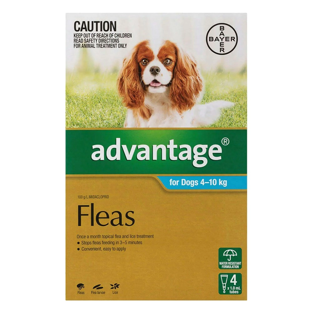 Advantage For Medium Dogs 4 To 10Kg (Aqua) 12 Pack