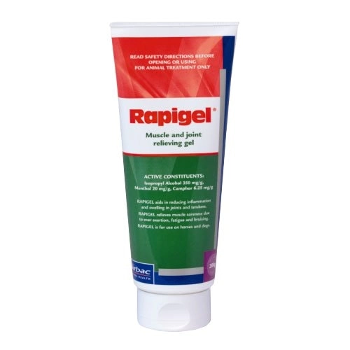 RAPIGEL Muscle and Joint Squeeze Tube 200 GM