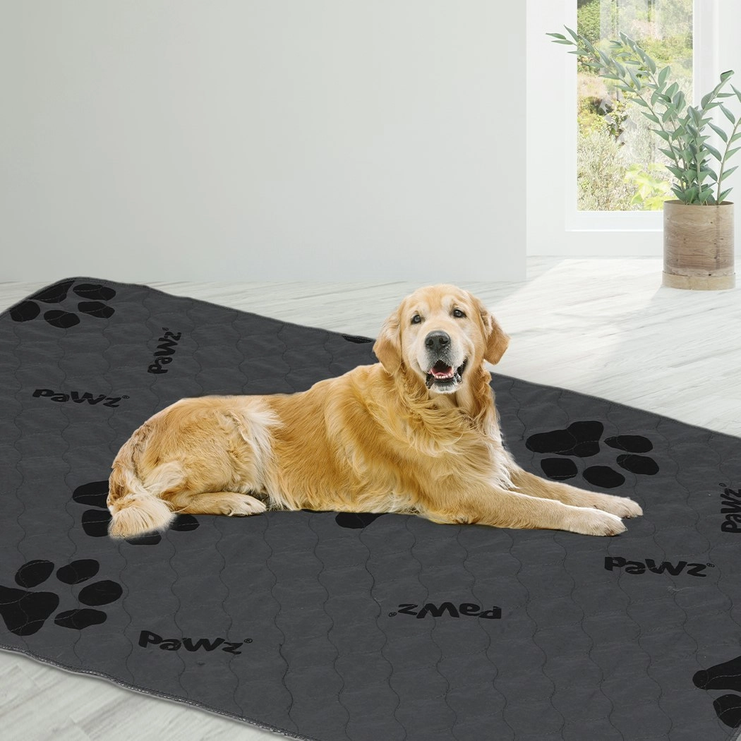 Pawz 2x Washable Dog Puppy Training Pad Pee Puppy Reusable Cushion Jumbo Grey