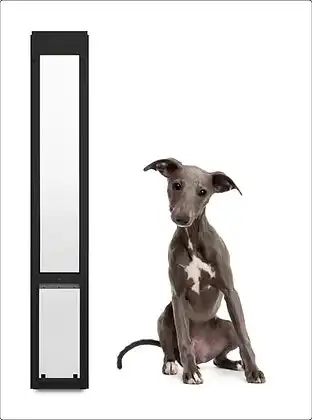 Sliding Door Pet Insert - Whippet