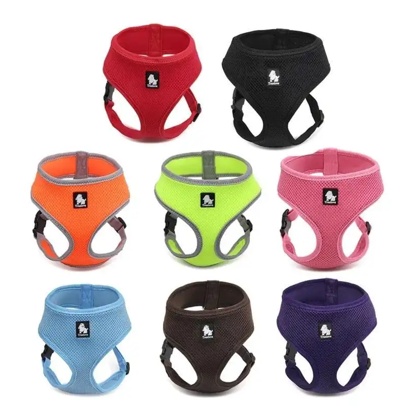 Skippy Harness With Steel D Ring