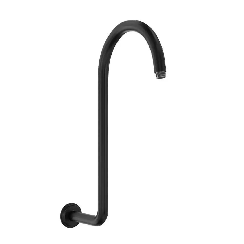 Fienza Classical Swan Neck Shower Arm Matte Black 422116B