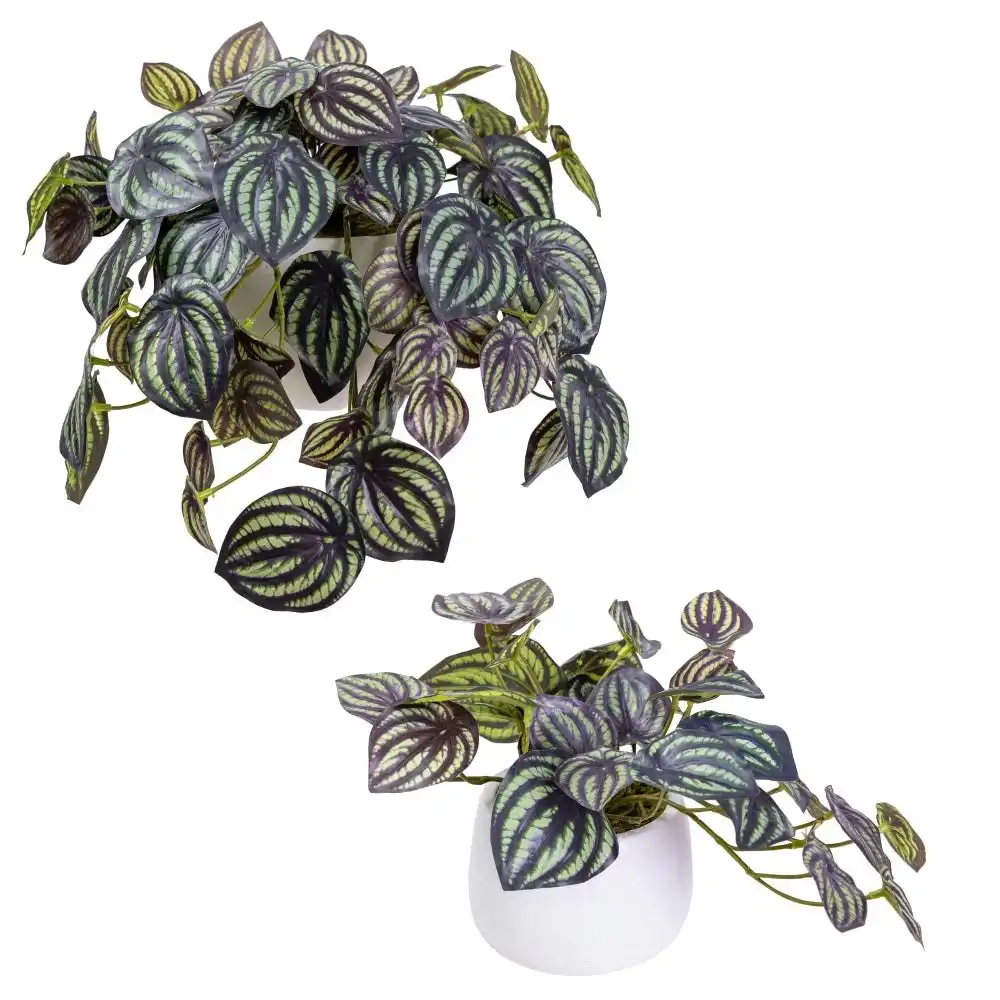 Glamorous Fusion Set Of 2 Watermelon Pepromia Artificial Faux Plant Decorative