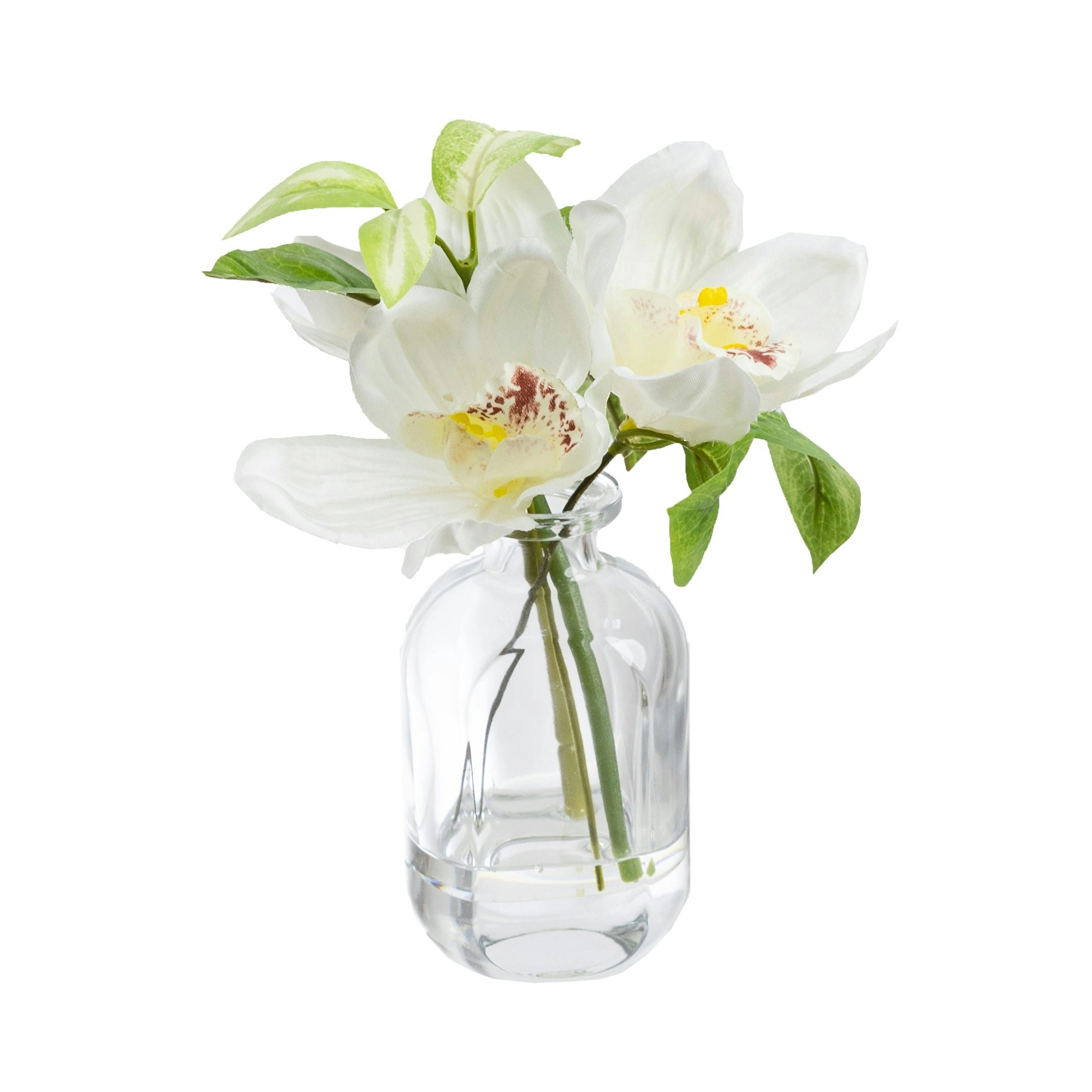 Glamorous Fusion Cymbidium Orchid Artificial Faux Plant Flower Decorative 22cm In Bottle Vase