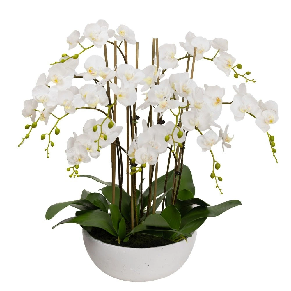 Glamorous Fusion Phalaenopsis Orchid Artificial Plant Flower Decorative Large 75cm Ceramic Pot - White