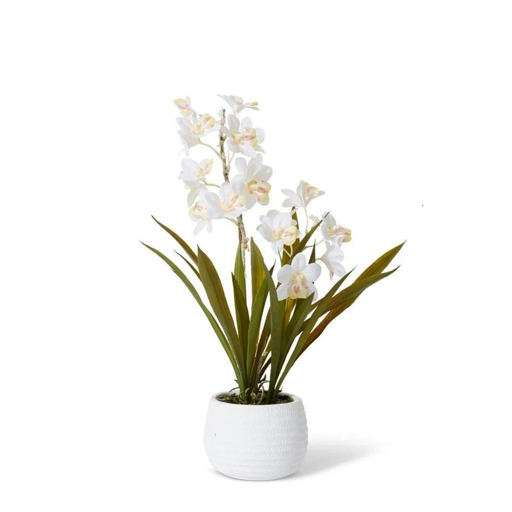 Elme Cymbidium Hybrid Dimple Pot - White/White - 32x32x54cm