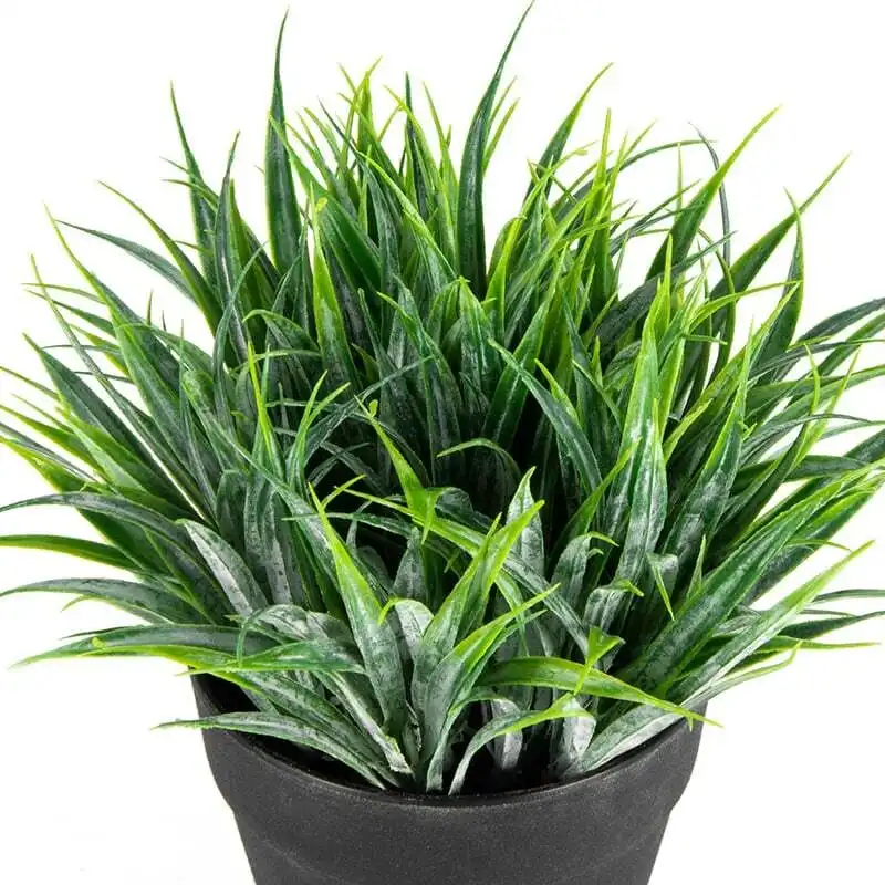 Willow & Silk Potted Artificial 18cm Green Ponytail Grass/Plant in Pot