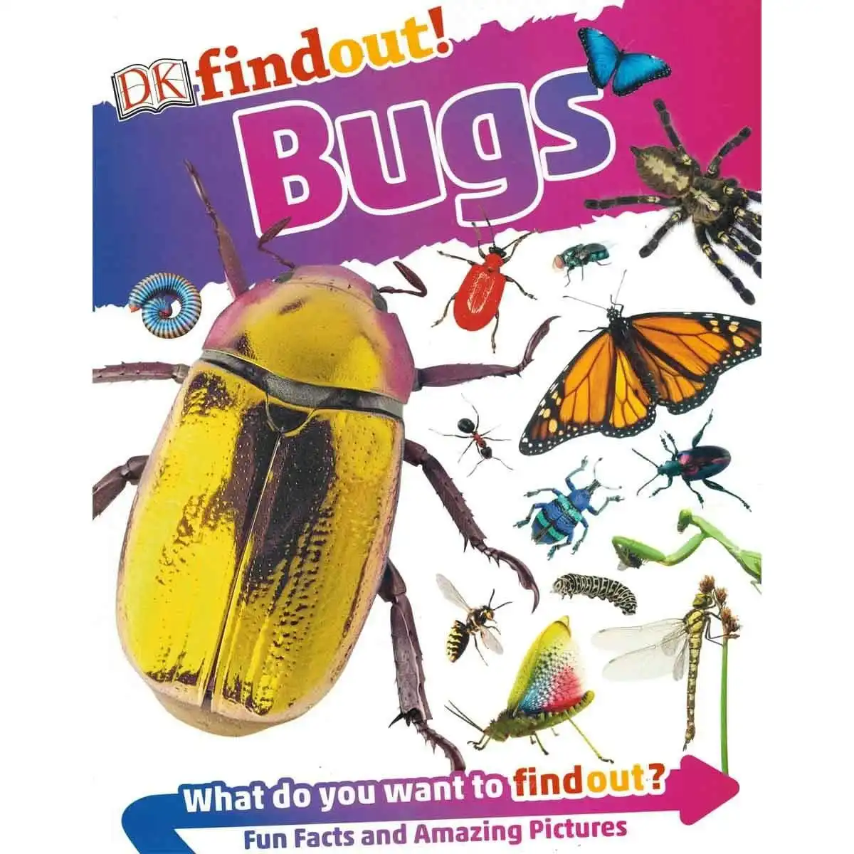 Promotional Dk Findout! Bugs