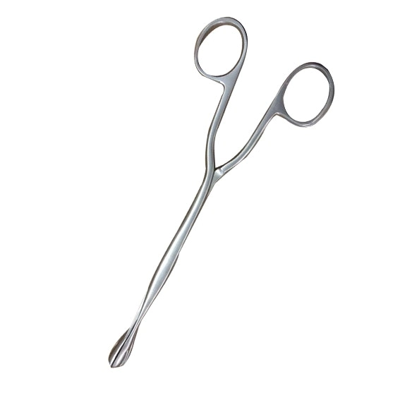 Livingstone Stainless Steel McClintock Ovum Forceps 24cm 81 Grams