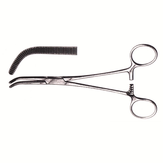 Mixter O'Shaugnessy Forceps, 19cm, Each