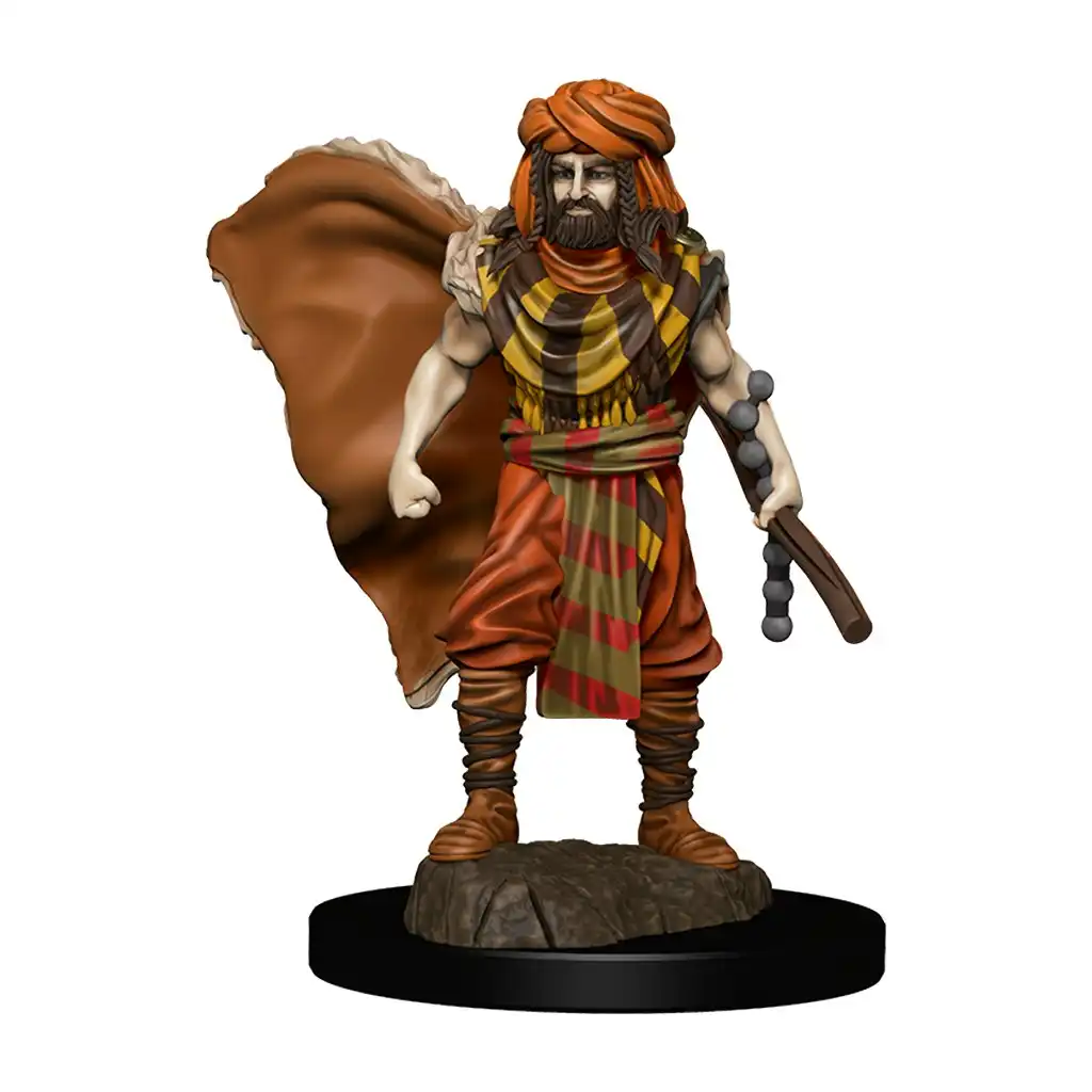 D&D Premium Painted Figures Human Druid Male