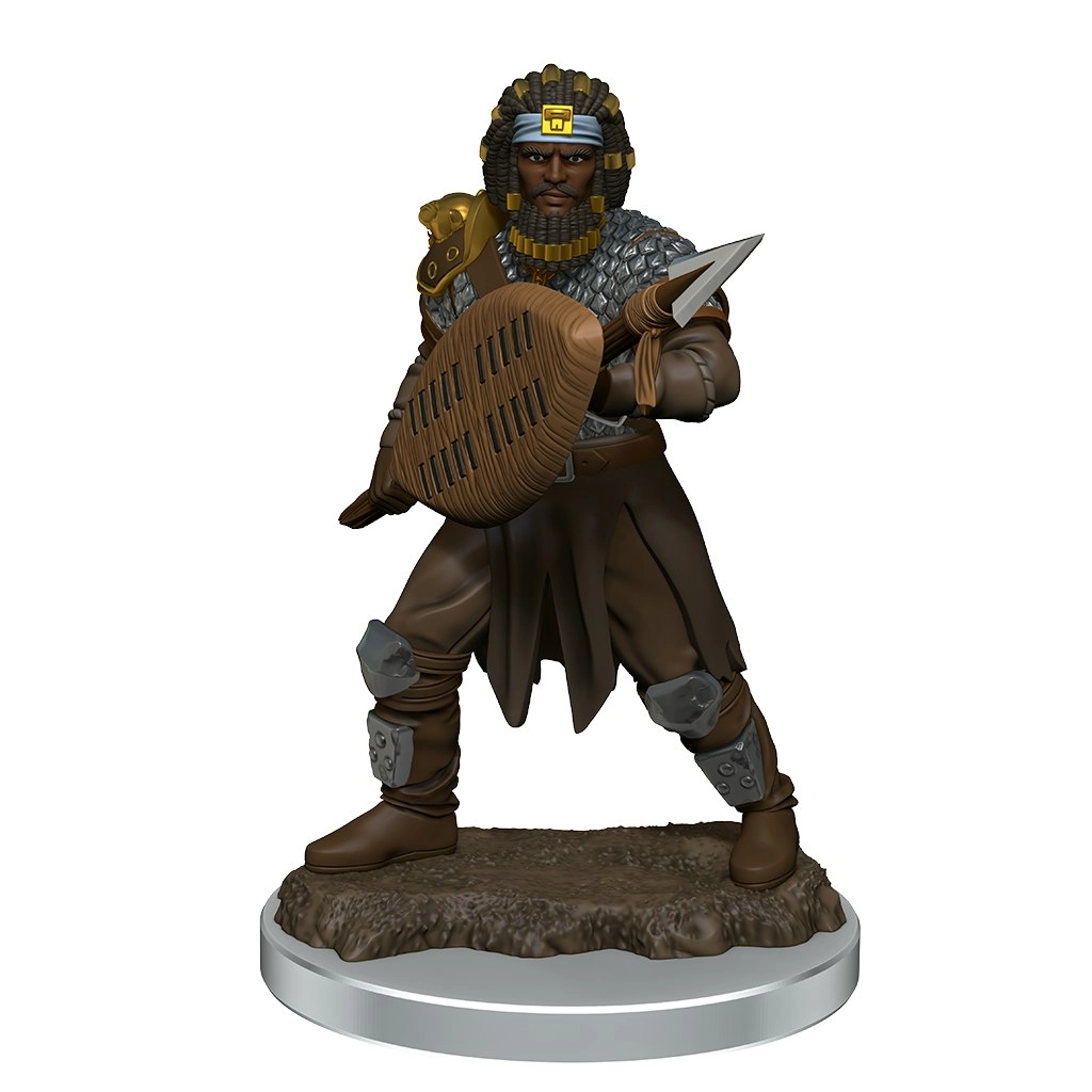 D&D Premium Painted Figures Human Fighter Male