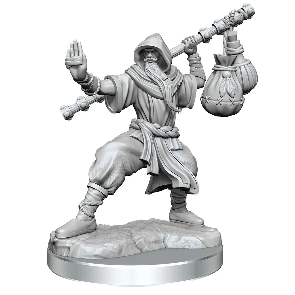 D&D Frameworks Human Monk Male