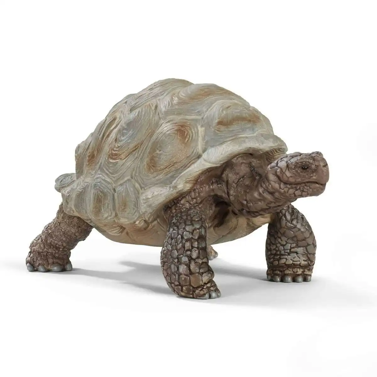 Schleich - Giant Tortoise Figurine