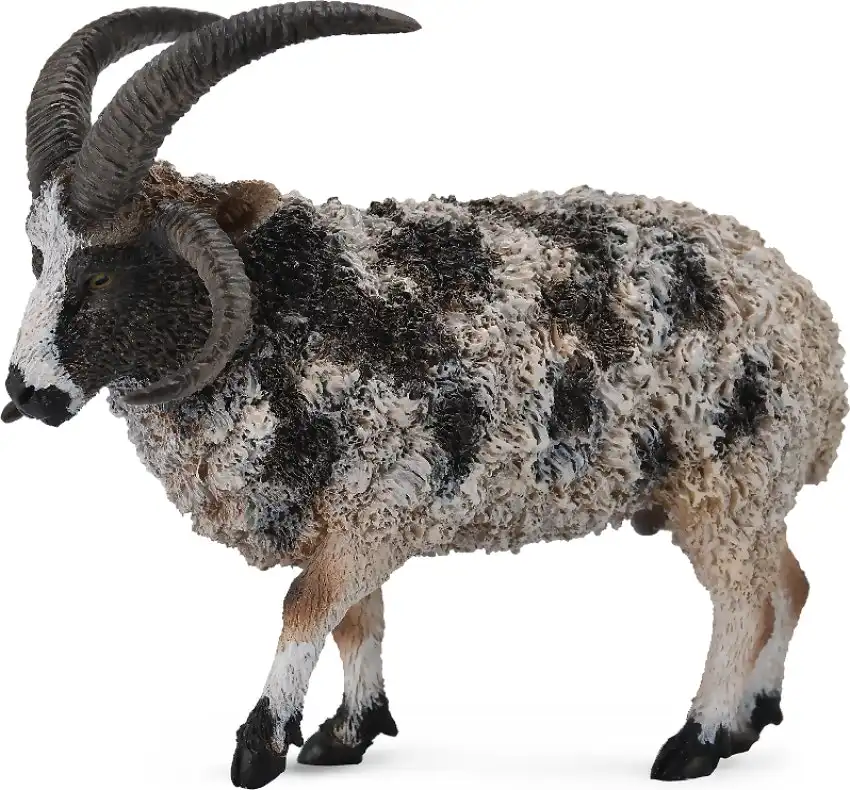 Collecta - Jacob Sheep Large Figurine