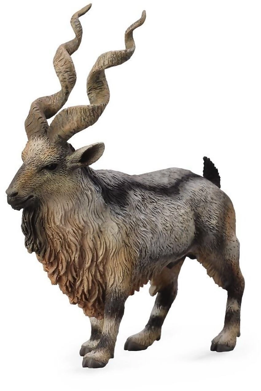 Collecta - Tadjik Markhor Large Animal Figurine