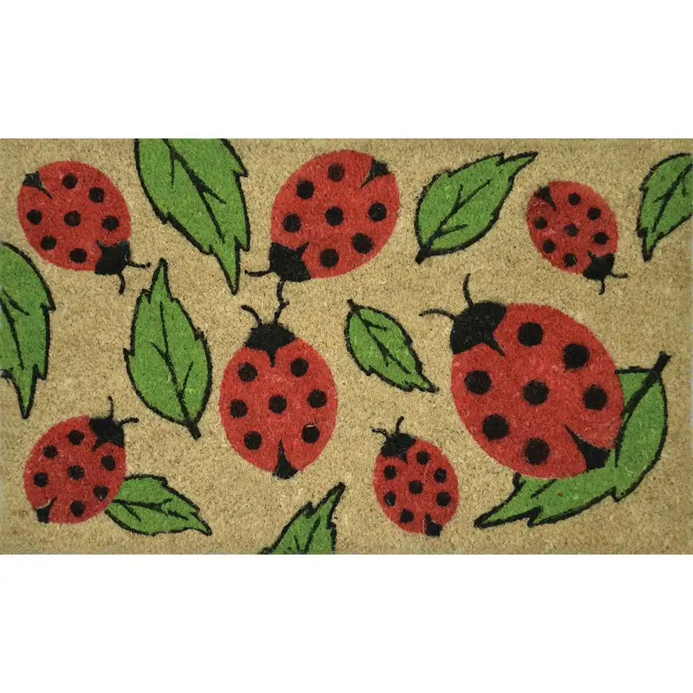 Solemate Latex Backed Coir Ladybird 45x75cm Slimline Outdoor Stylish Doormat