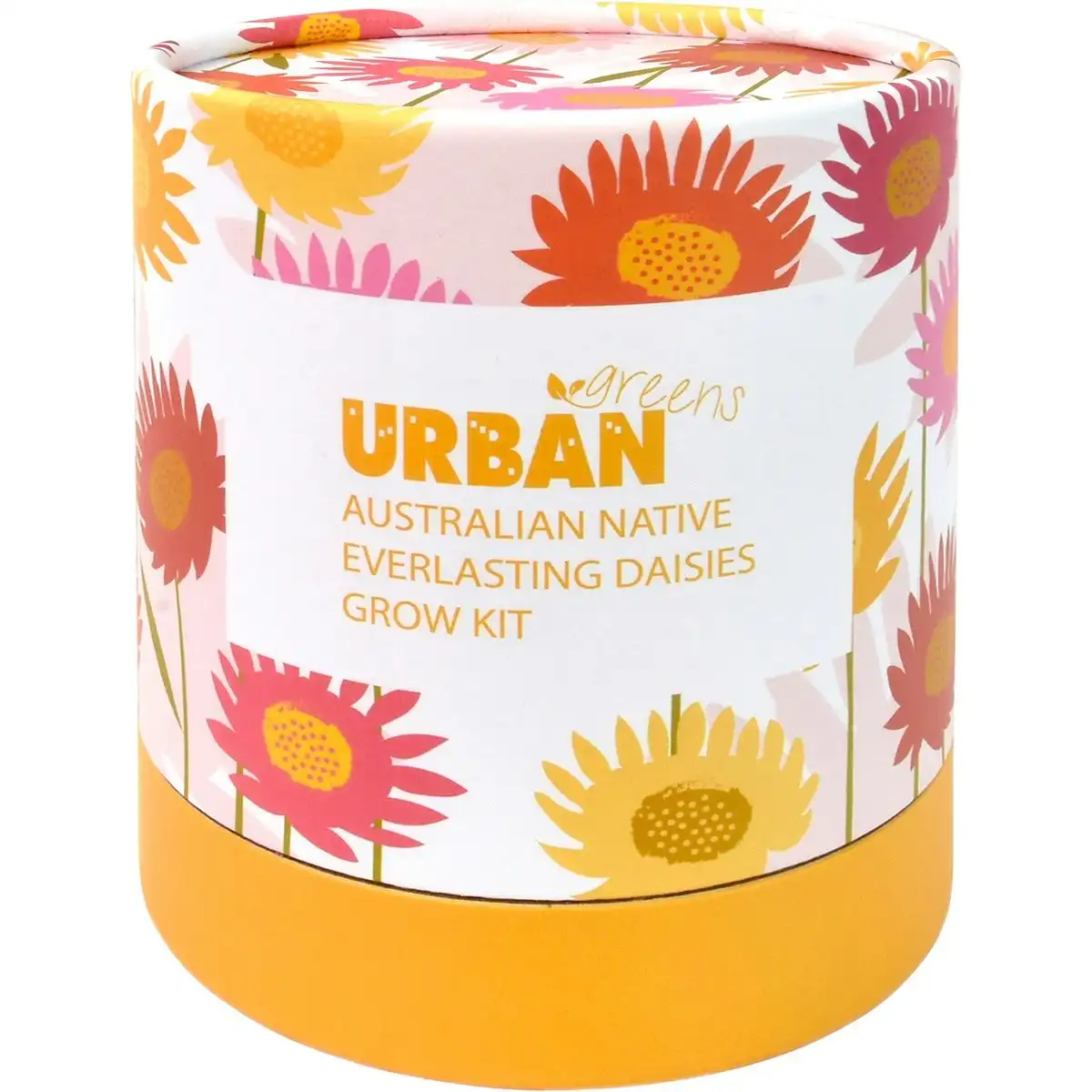 URBAN GREENS Australian Native Grow Kit Everlasting Daisies 1