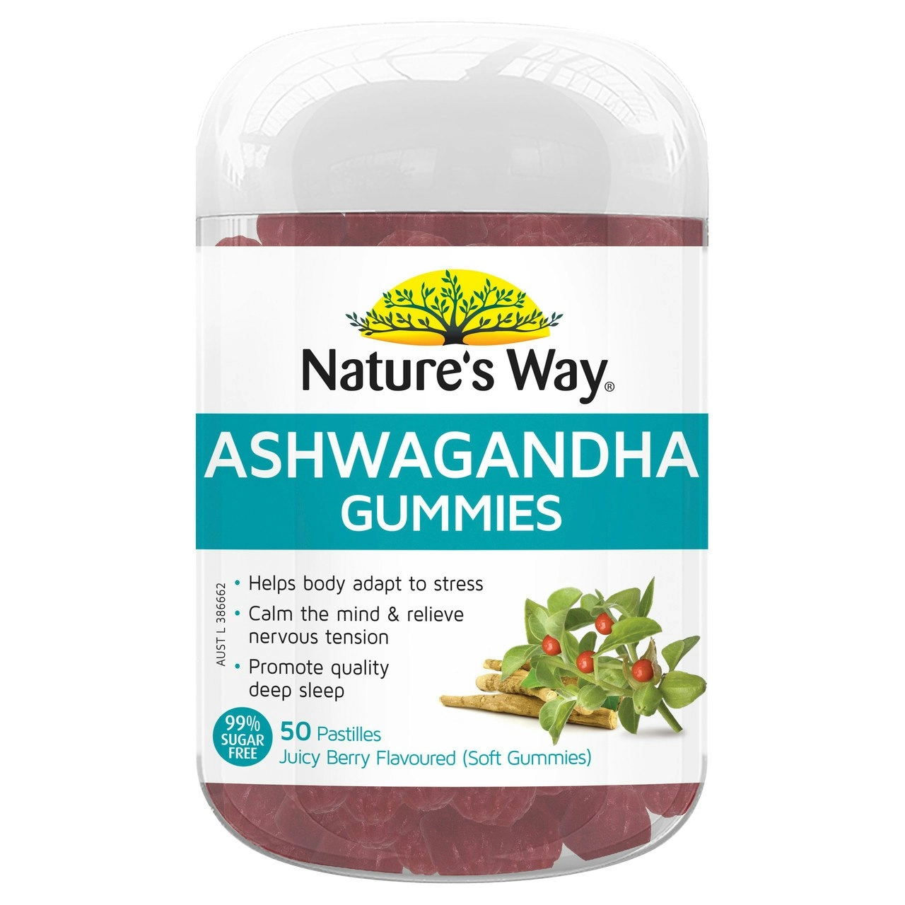 Nature's Way Ashwagandha Gummies 50