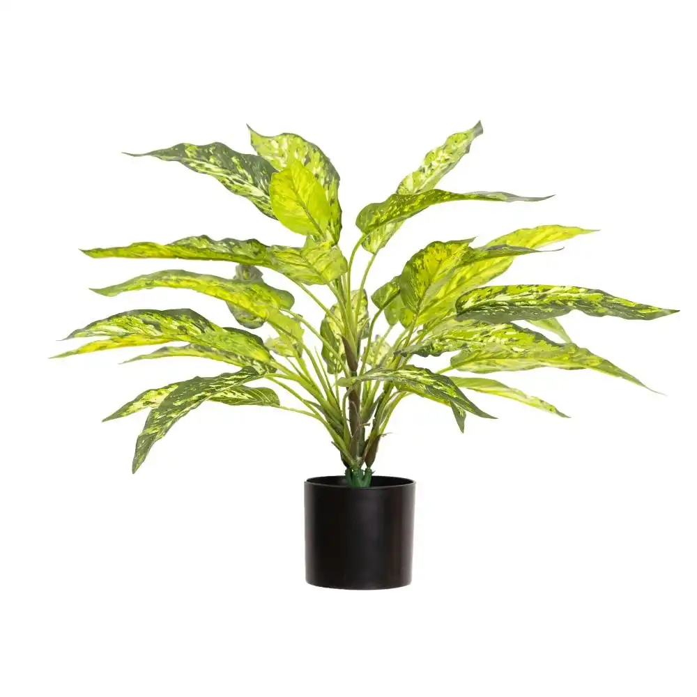 Glamorous Fusion Aglaonema Bush 45cm Artificial Faux Plant Decorative Green In Pot