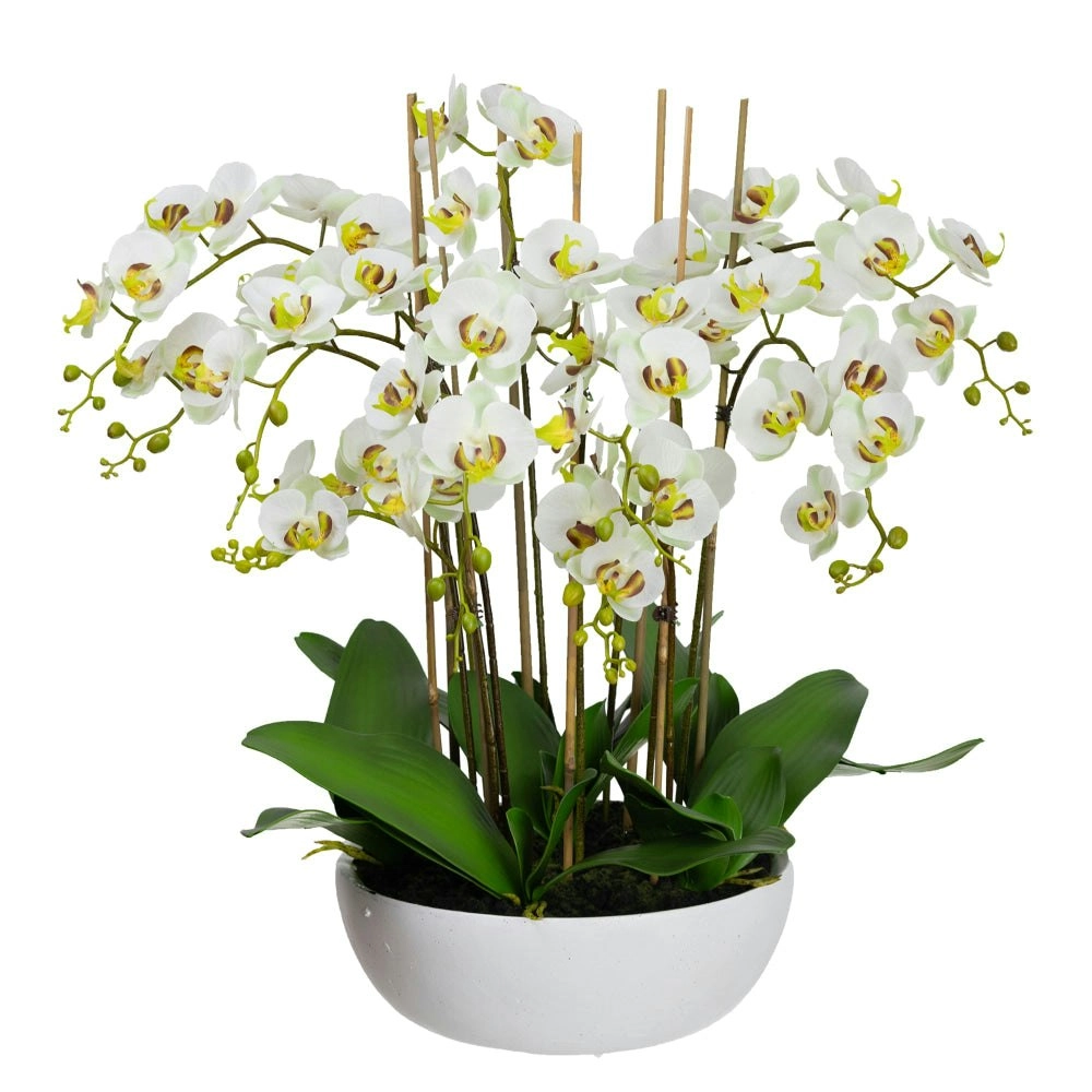 Glamorous Fusion Apple Green Phal Orchid White Artificial Faux Plant Decorative Arrangement In Pot