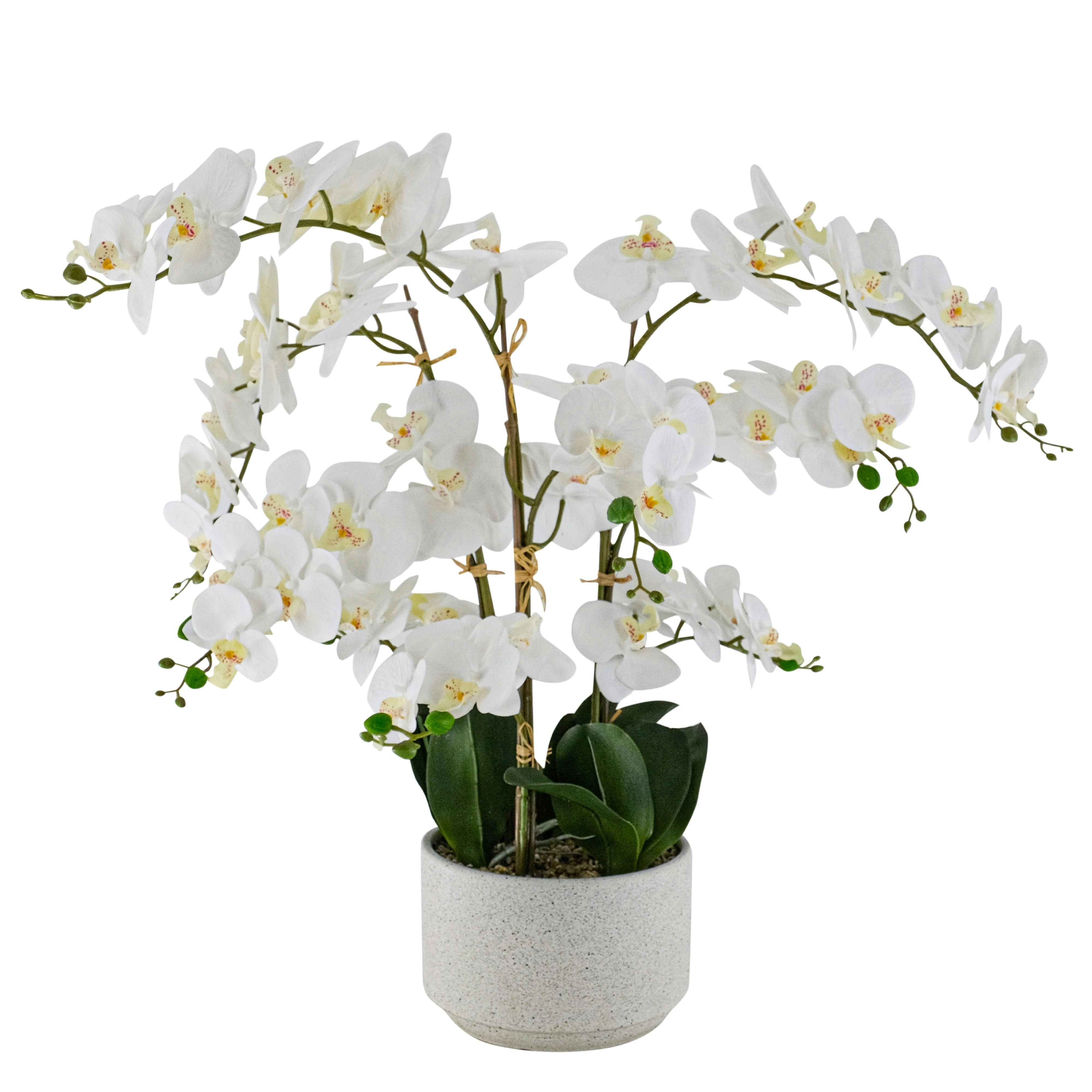 White Phalaenopsis Orchid Artificial Plant 85cm