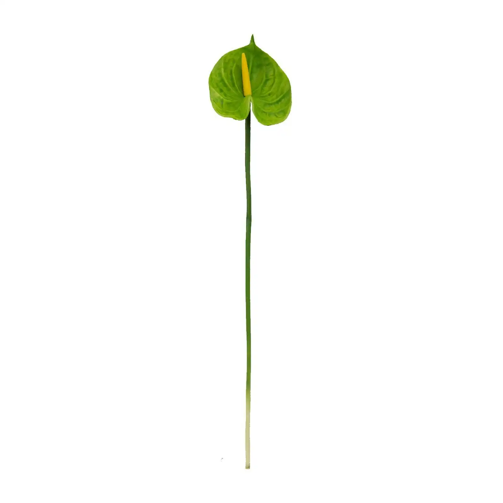 70cm Artificial Anthurium Stem - GREEN