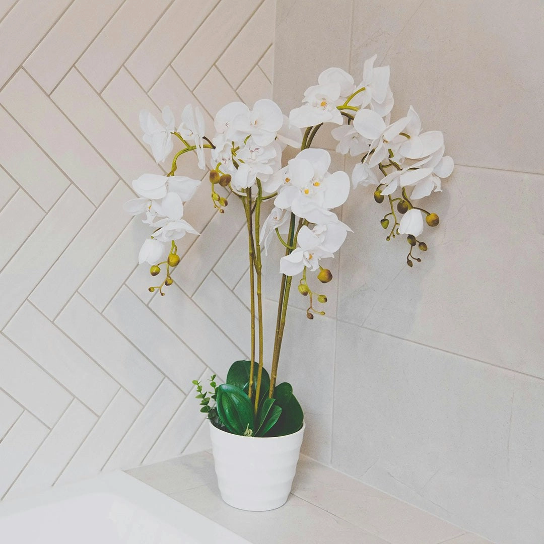 Artificial Plant White Phalaenopsis Orchid - 75cm