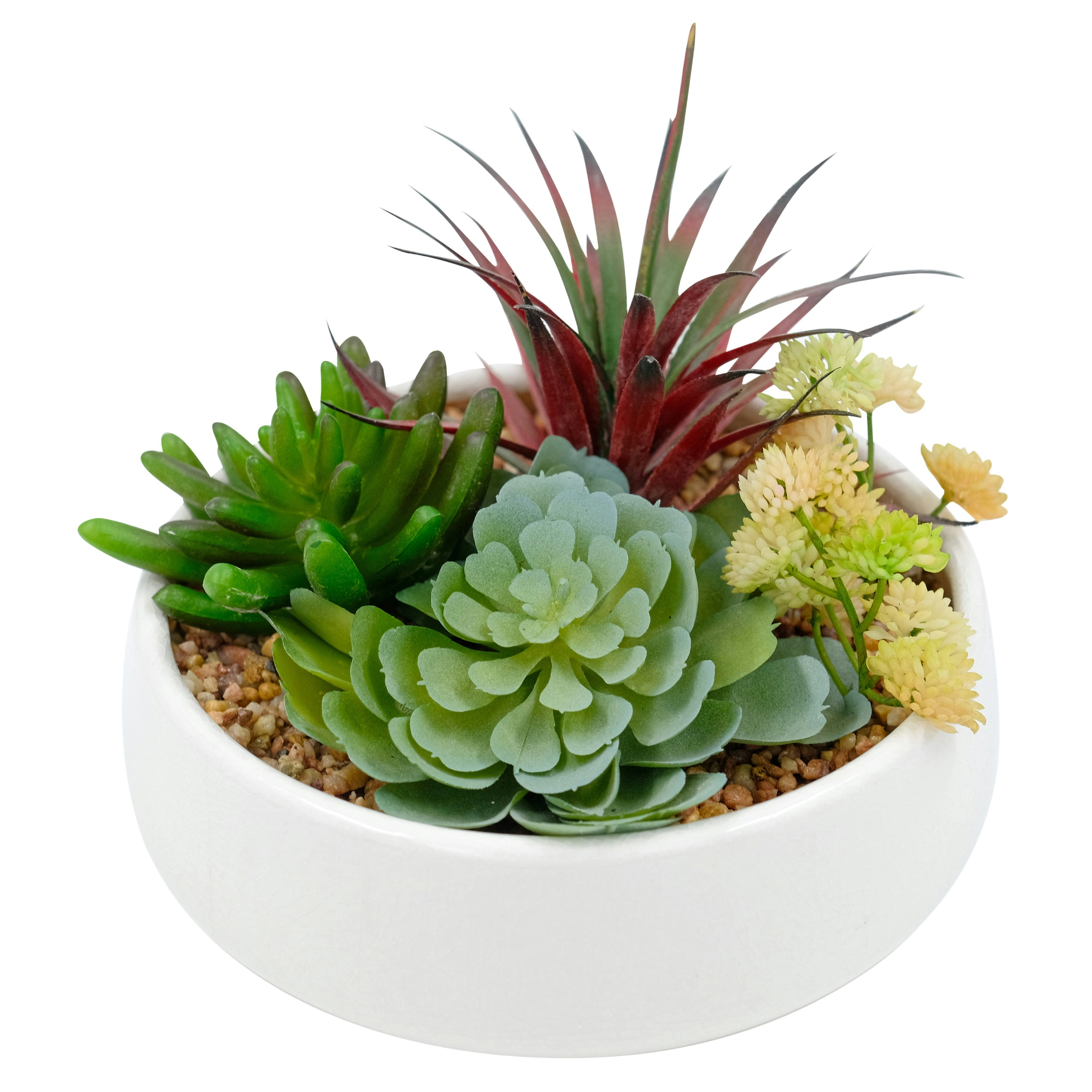 Artificial  Quad Succulent in White Pot 16cm