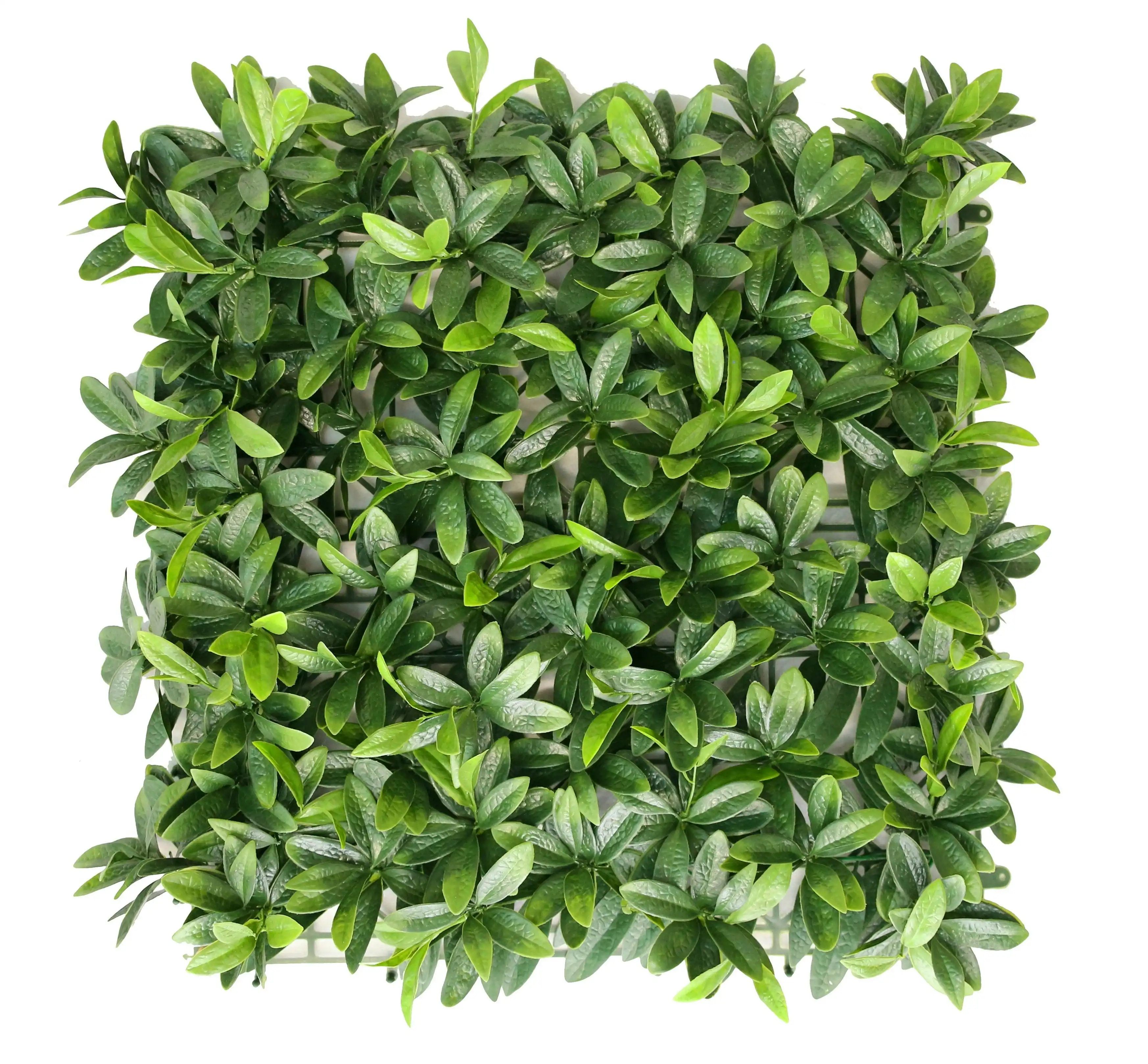 Artificial Laurel Hedge 50x50cm