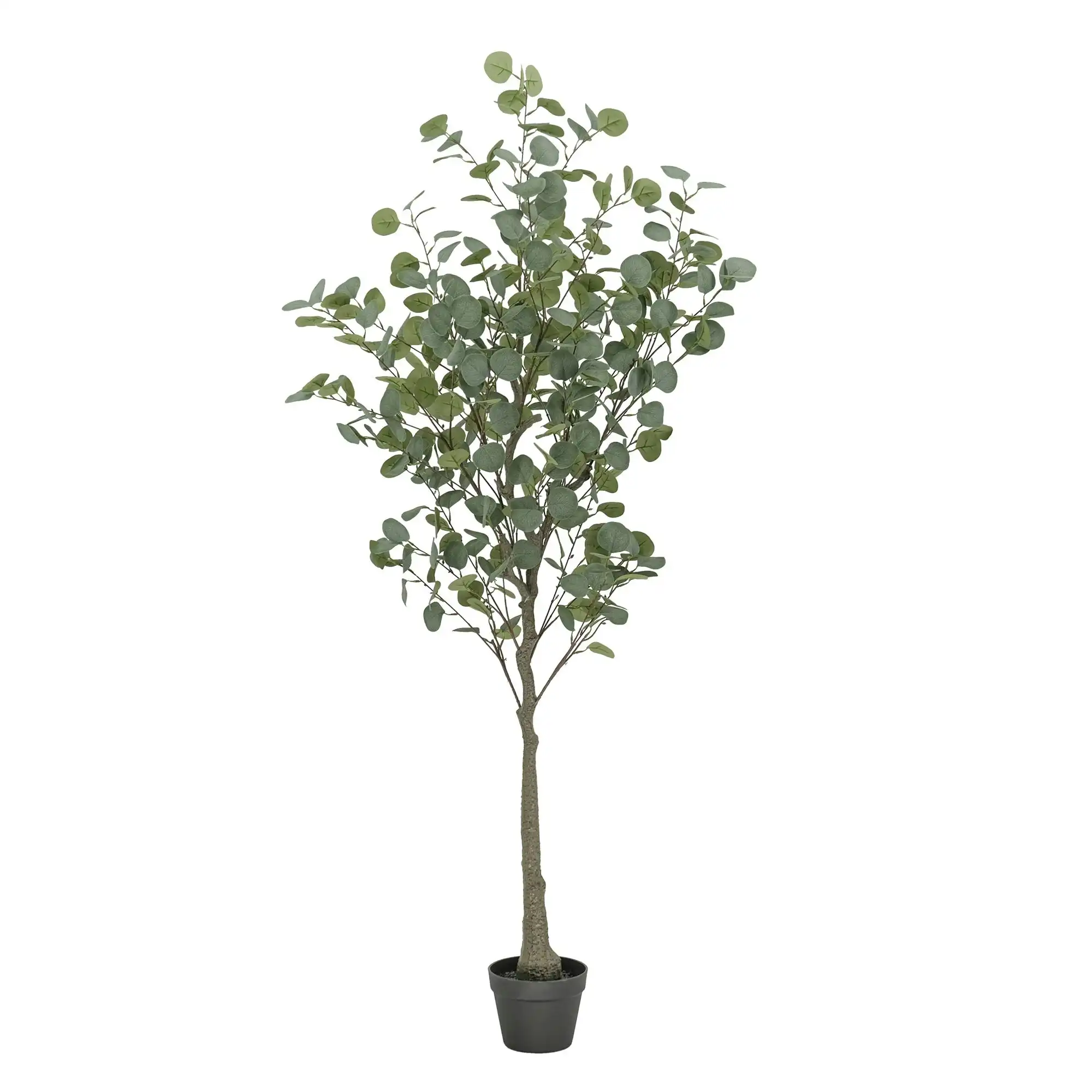 Artificial Eucalyptus Tree – Silver Dollar Gum 170cm