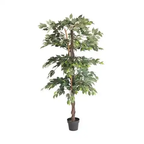 Artificial Plants - Ficus Tree 180cm