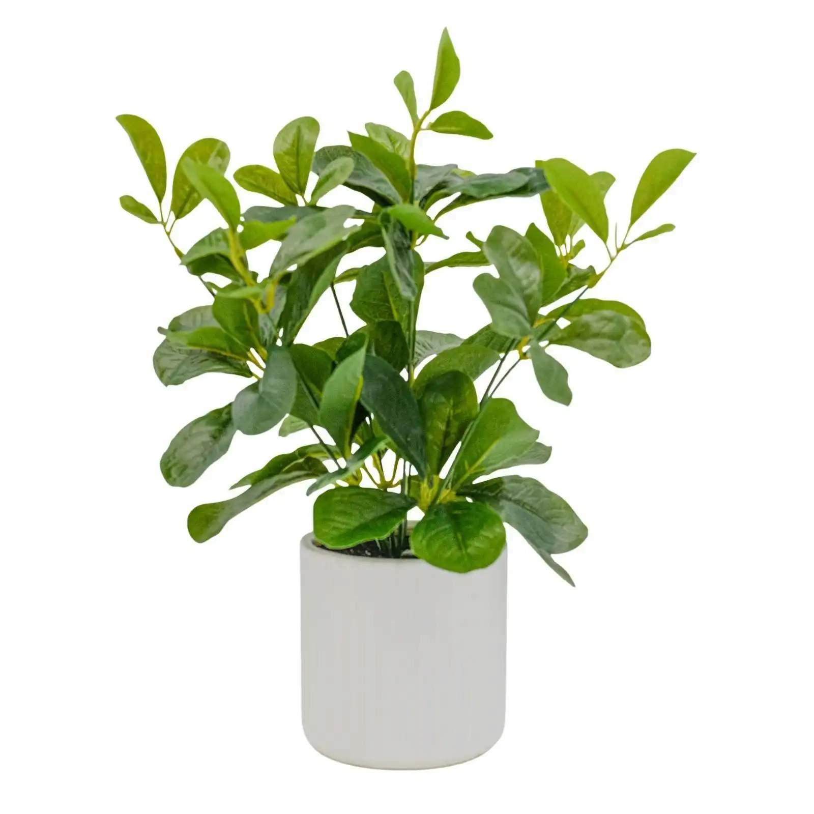 Artificial Greenery Plant in Ceramic Pot 30cm