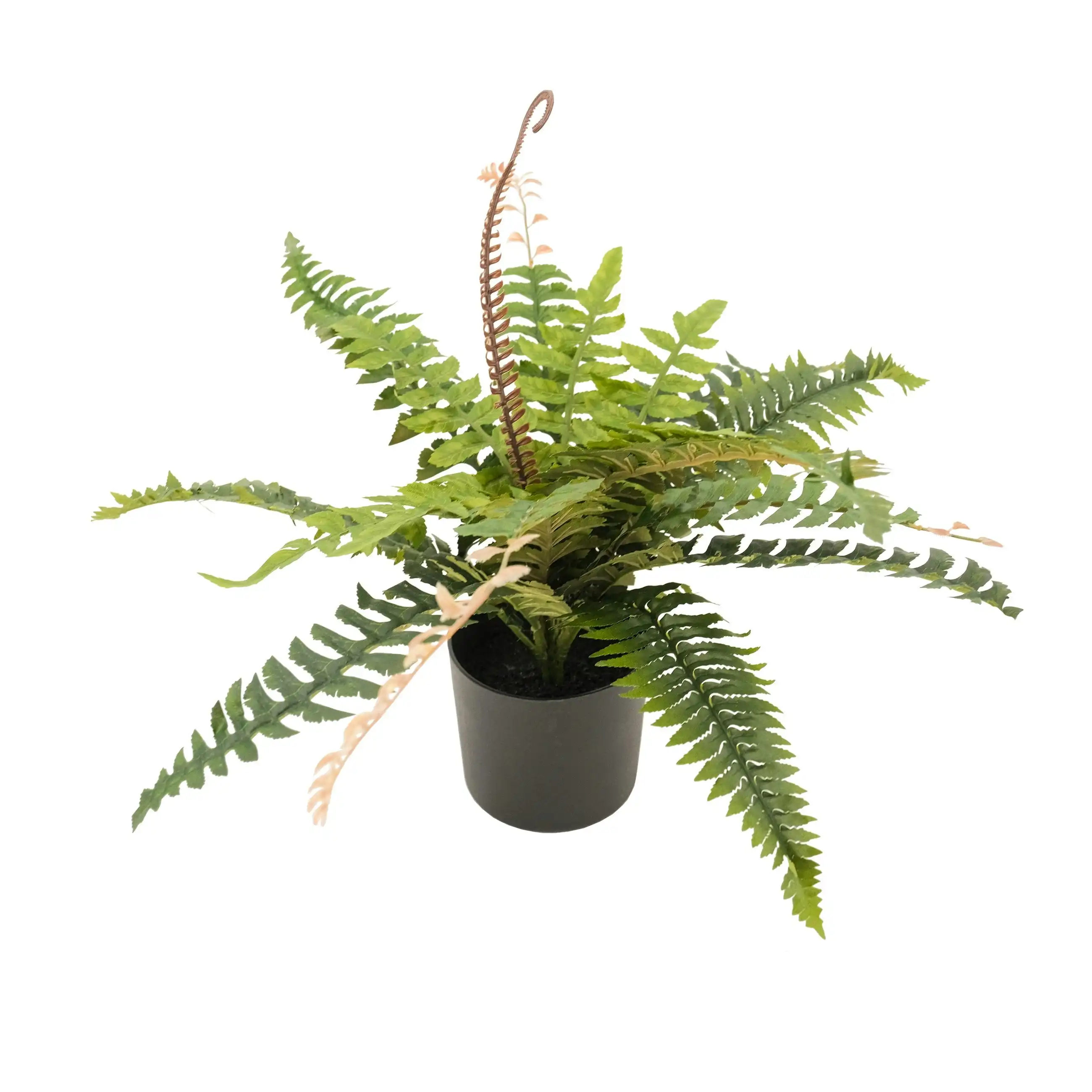 Artificial Plant - Boston Fern 50cm