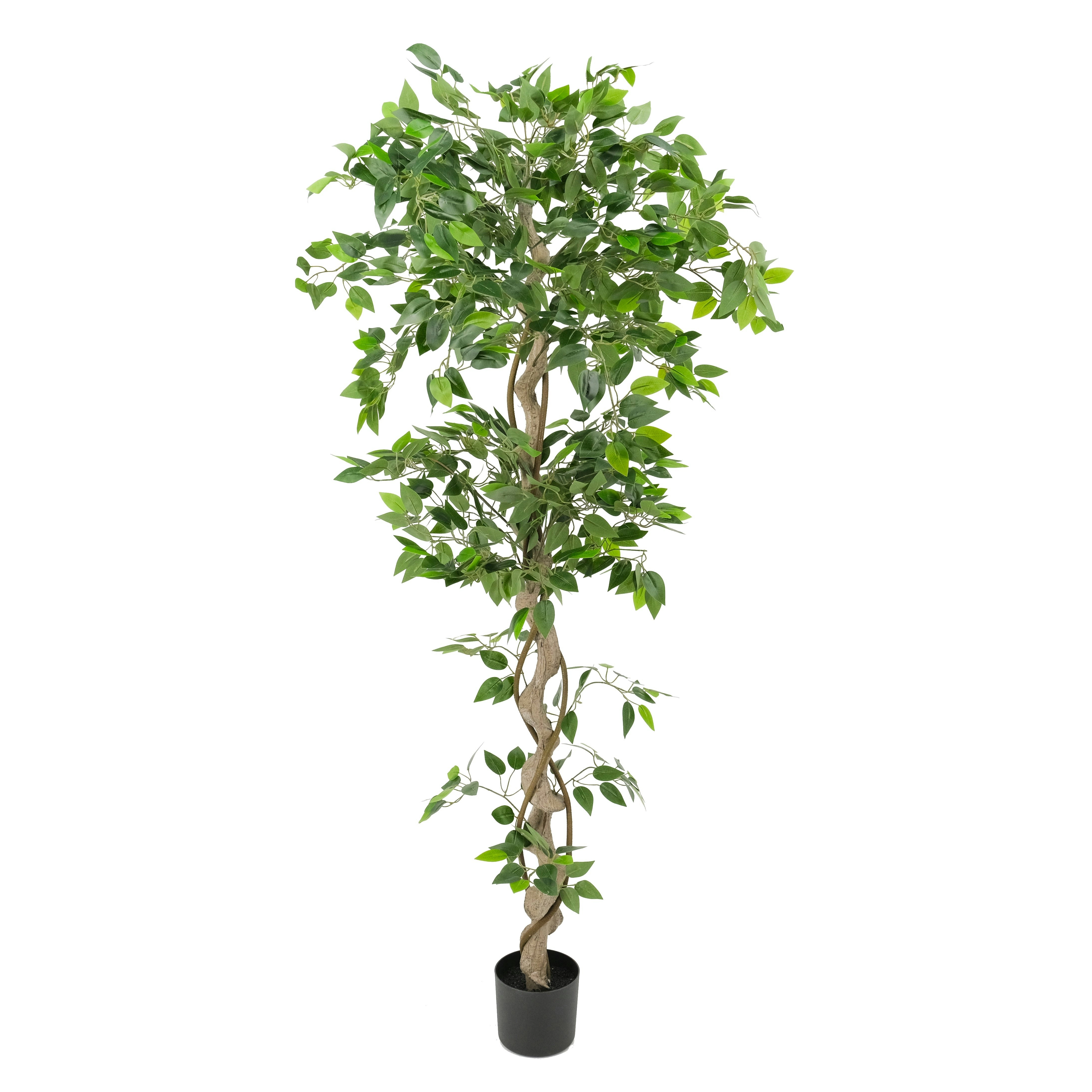 Artificial Ficus Tree with Twisted Trunk 180cm