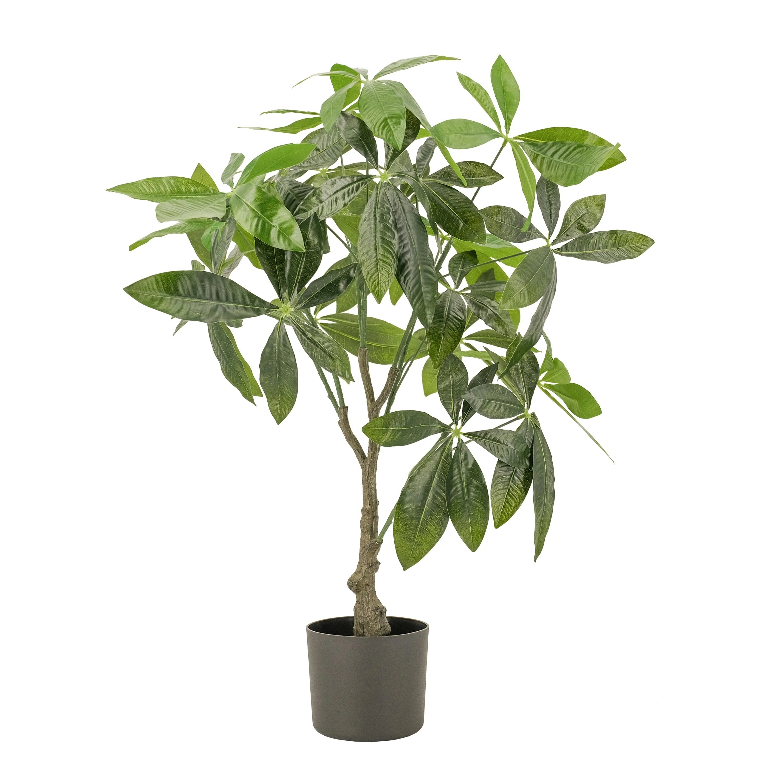 Artificial Fortune (Money) Tree Plant 75cm