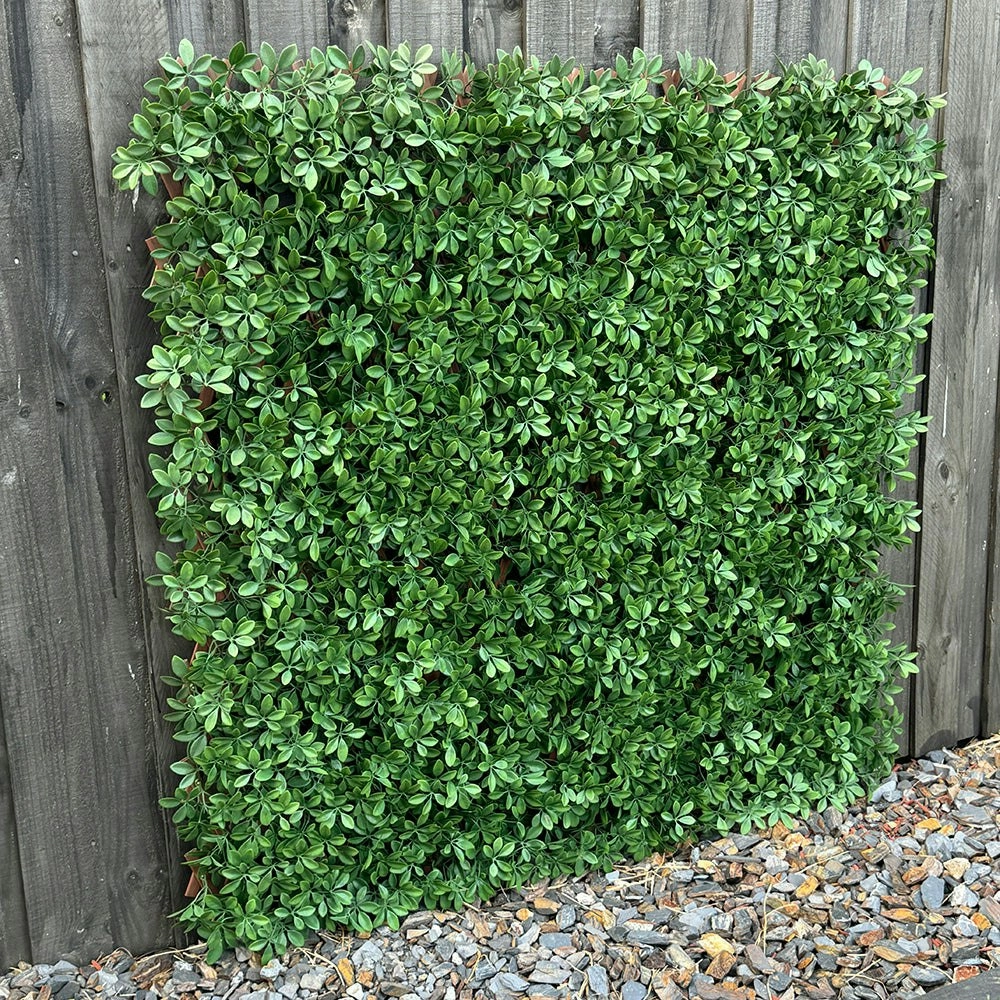 Expanding Trellis Screening - UV Protected Dark Green Barberry