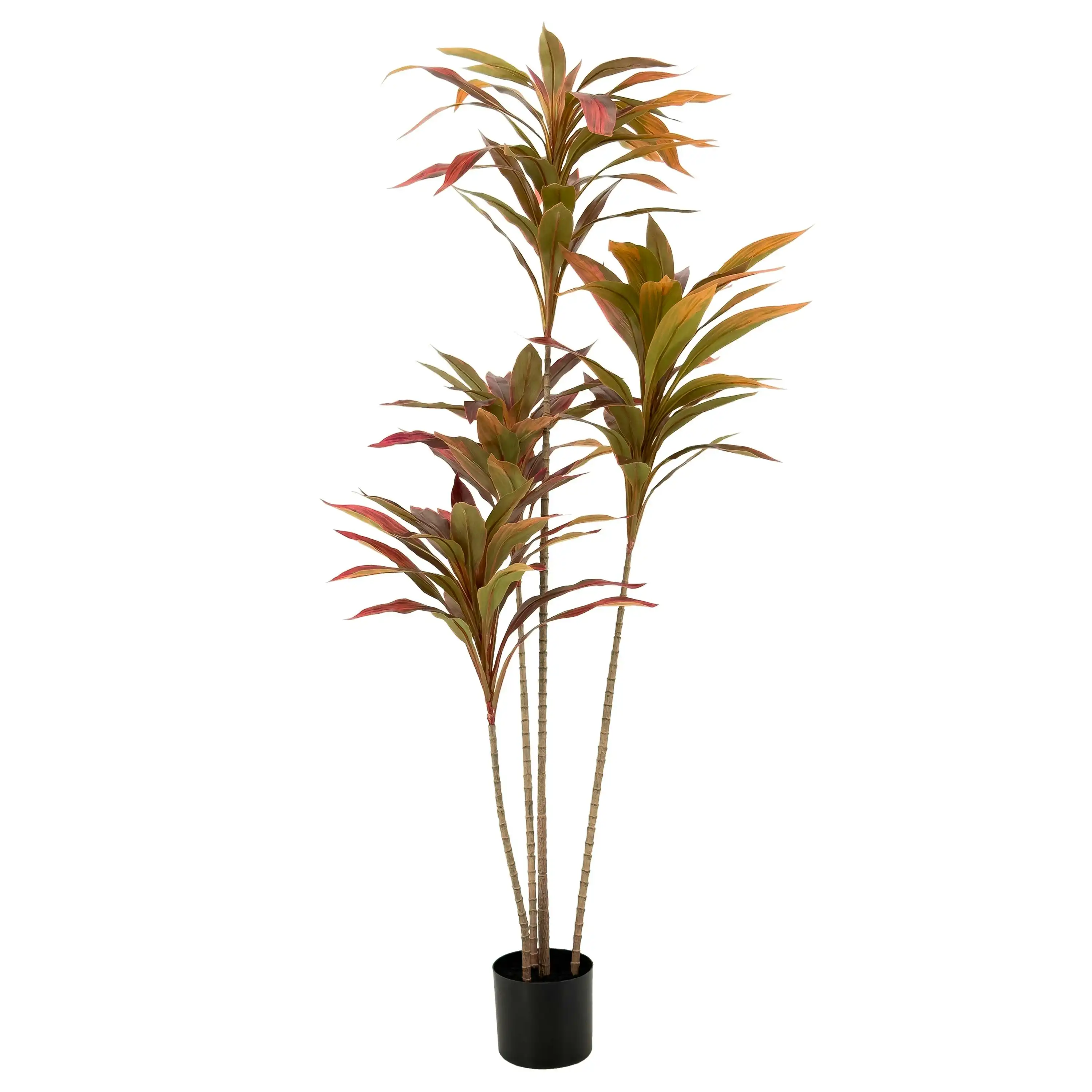 Large Artificial Dracaena Plant with red leaves 150cm