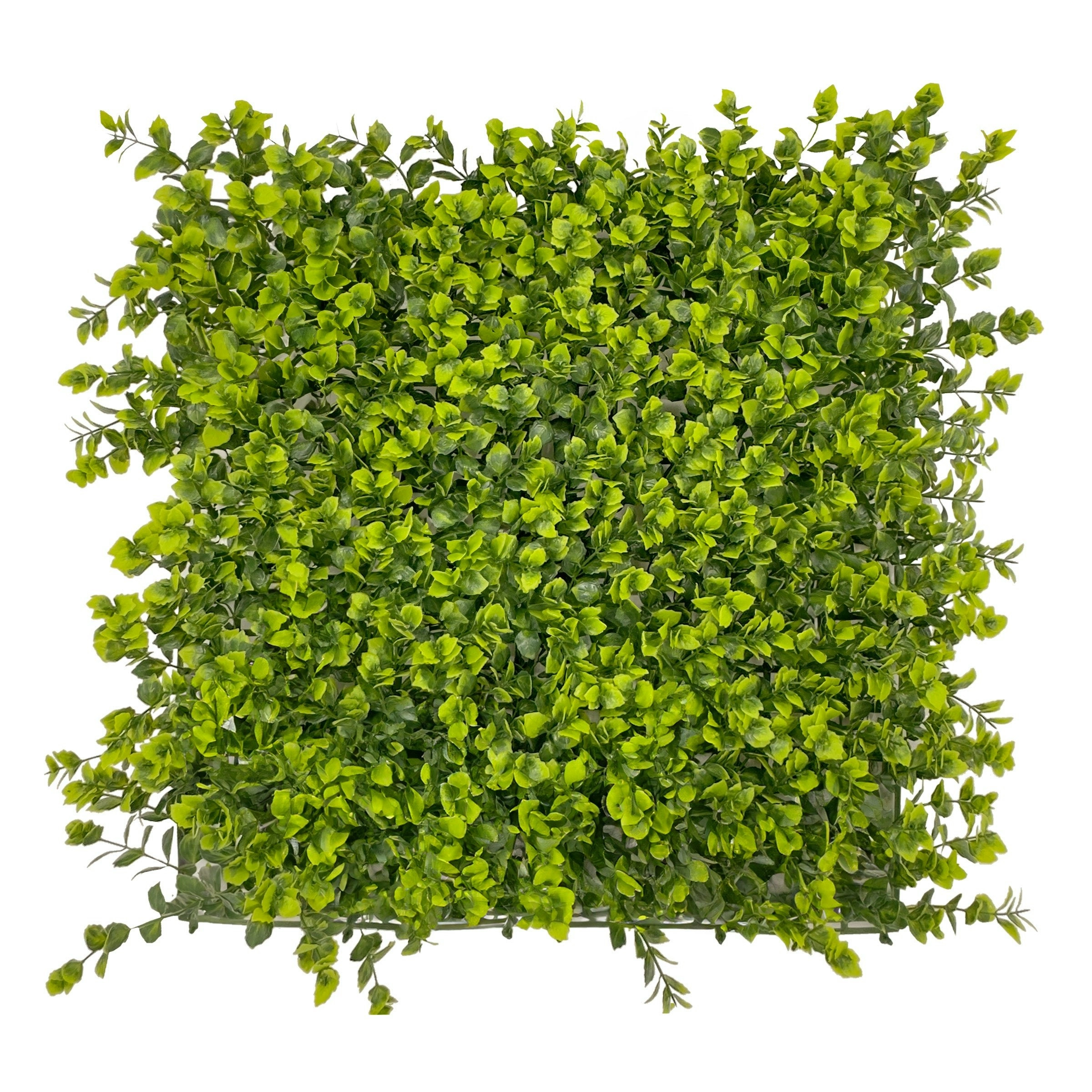 Artificial Hedge Winter Creeper 50x50cm