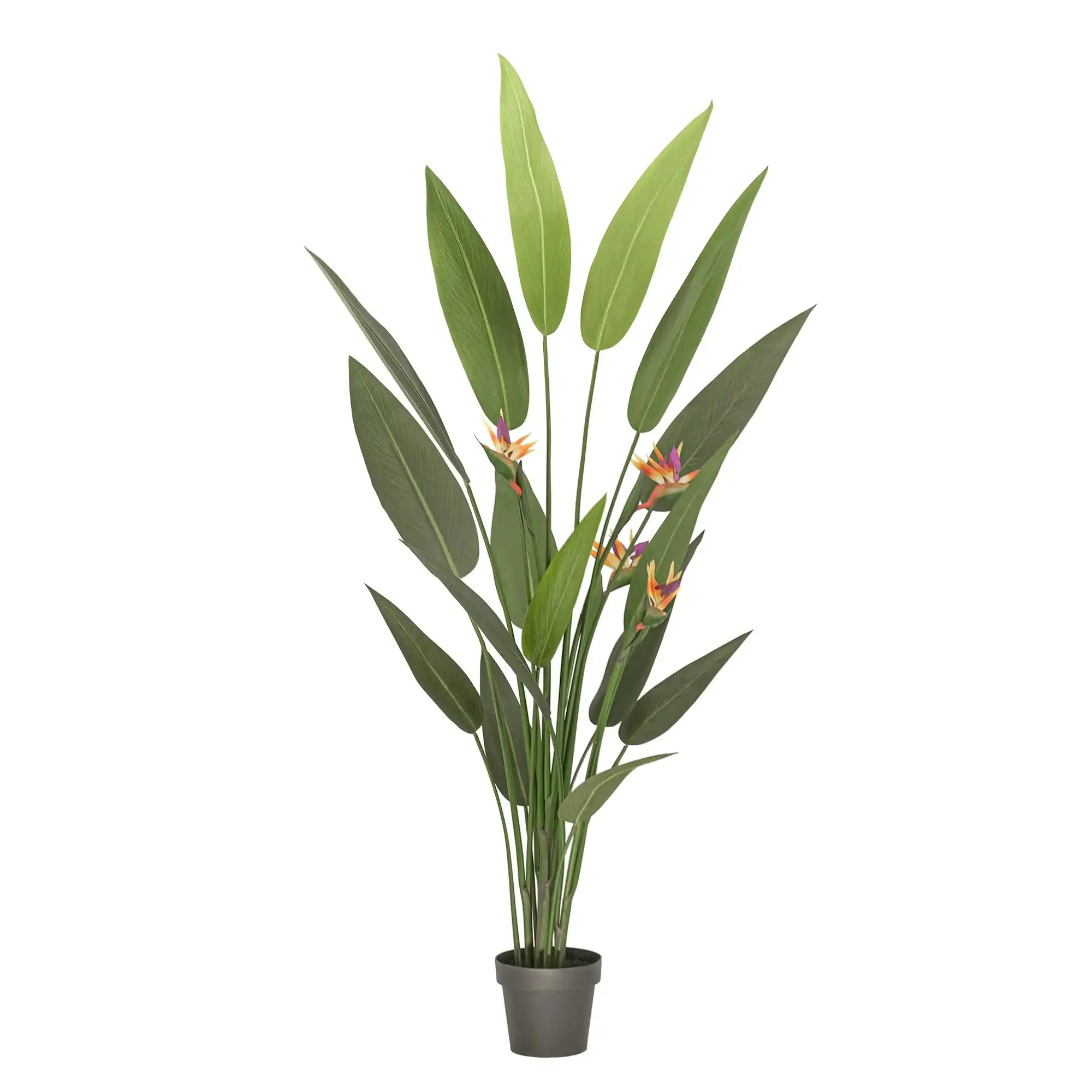 Large Artificial Plants - Giant Bird of Paradise with flowers 180cm