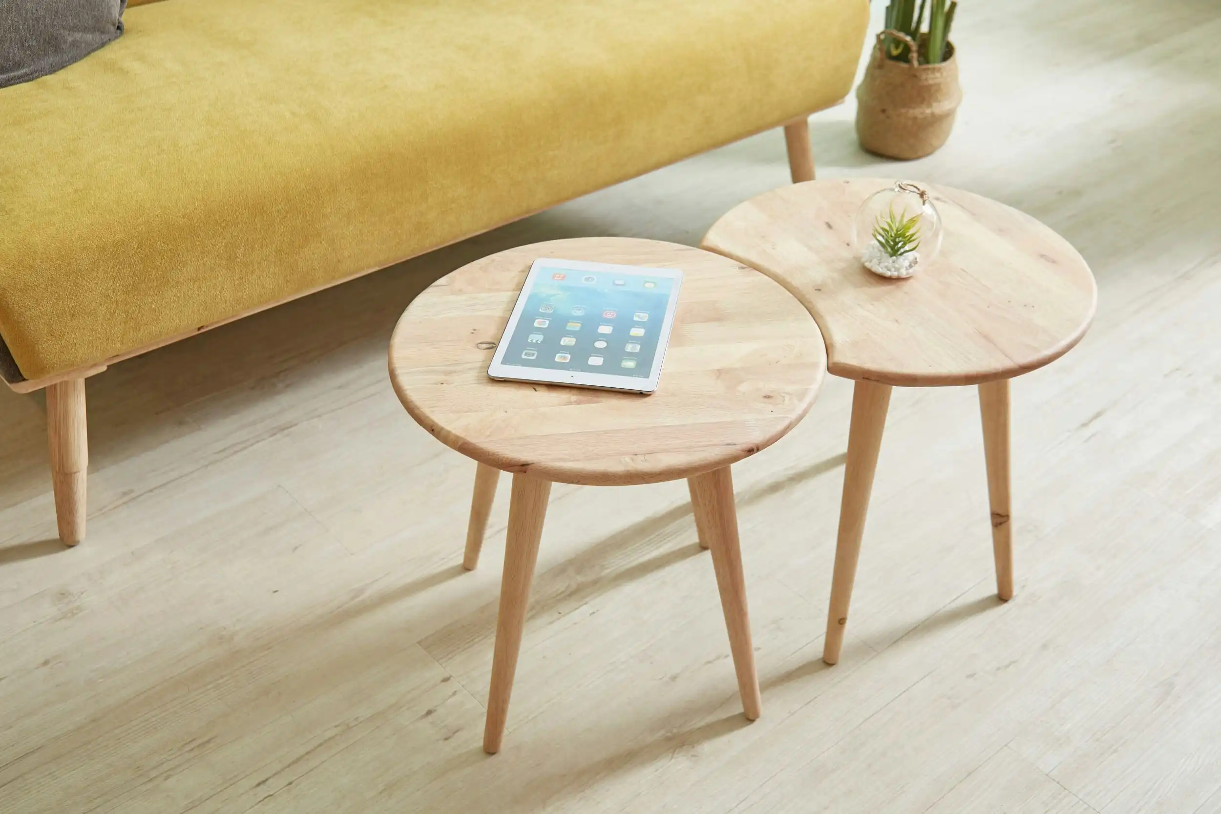 Ant Coffee Table (Set of 2)