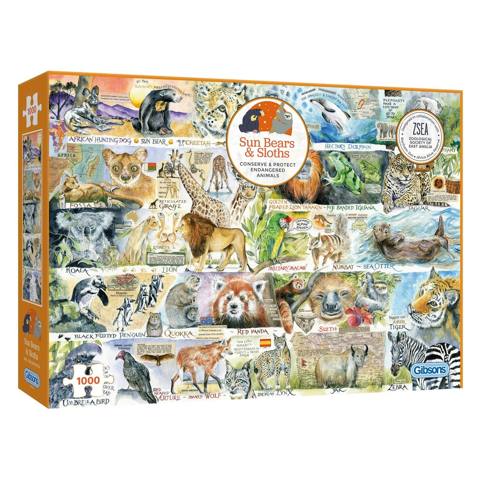 Gibsons - Sun Bears & Sloths - Jigsaw Puzzle 1000pc