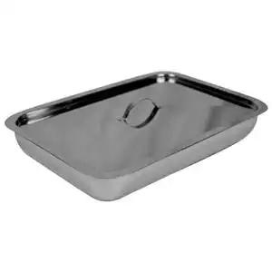 Livingstone Instrument Tray 300 x 200 x 55mm with Cover Stainless Steel