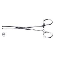 Livingstone Allis Tissue Forceps 5 x 6 Teeth 16cm 36 Grams Stainless Steel