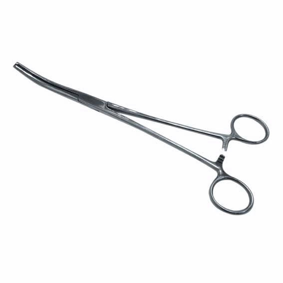 Livingstone Kocher Haemostatic Artery Forceps 14cm 1 x 2 Teeth Curved Stainless Steel