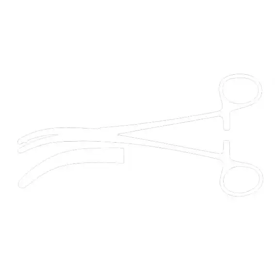 Heaney Clamp Forcep, 21cm, Each