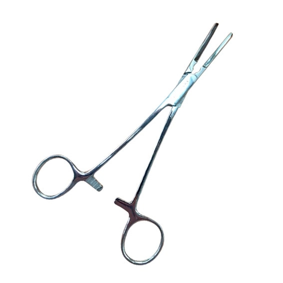 Livingstone Tubing Clamp, Scissors type, 18cm Stainless Steel, Each