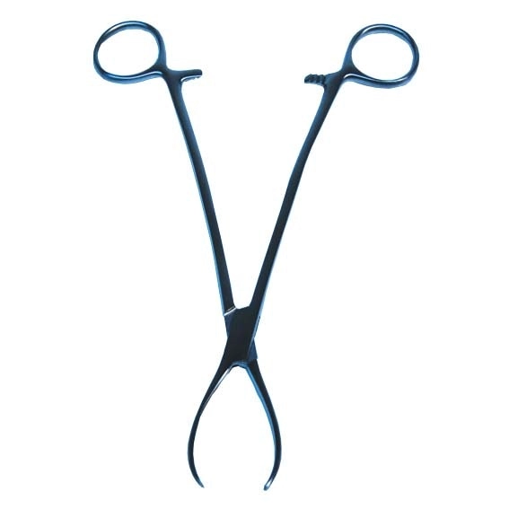 Livingstone Littlewood Tissue Forceps