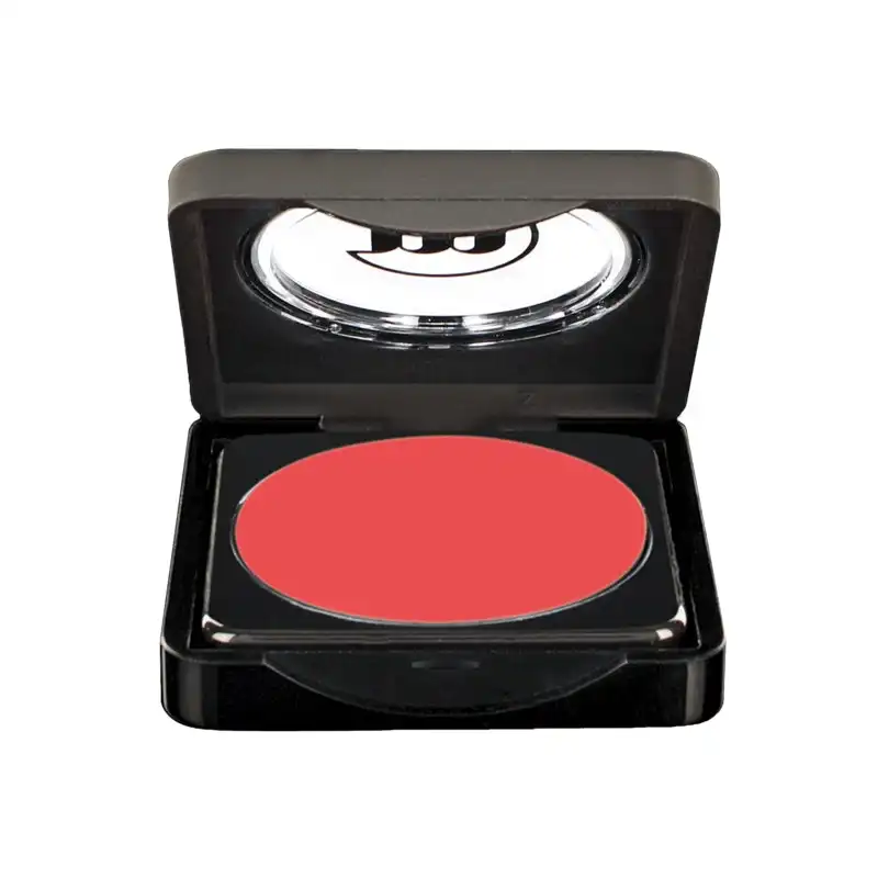 Make-up Studio Amsterdam Blusher 43